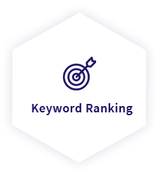 Keyword Ranking