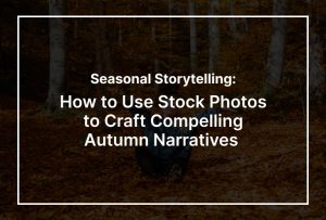 Stock Photos