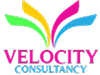 Velocity Consultancy